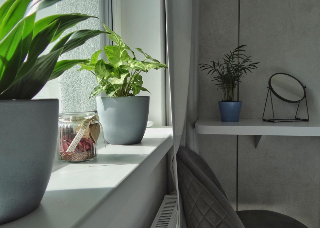 ברטיסלאבה Top Urban Apartment - Free Parking, Green Energy, Modern Style מראה חיצוני תמונה